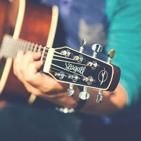Used seagull top guitars for sale